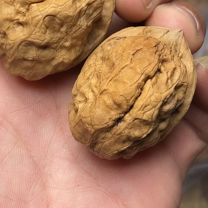 文玩核桃把件志成云铁文玩96