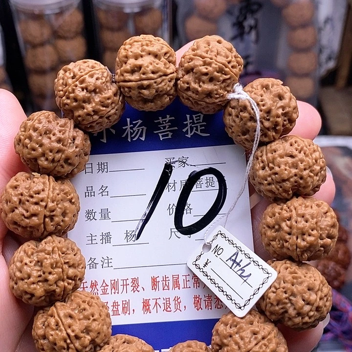 手串金刚菩提21铁骨双龙