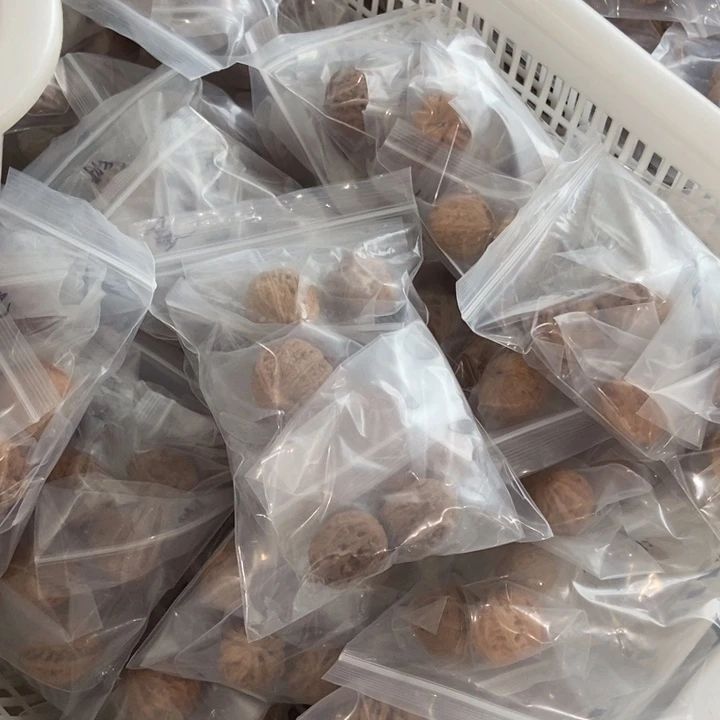 吊坠文玩核桃一单5对秋子