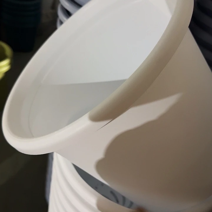 四季6号纯白无托7个特价微瑕