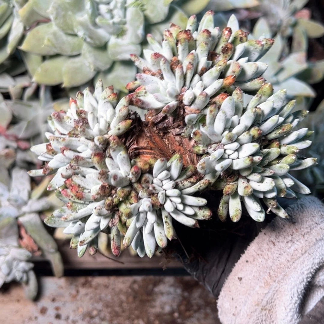 8003哈哈哈哈哈哈哈哈