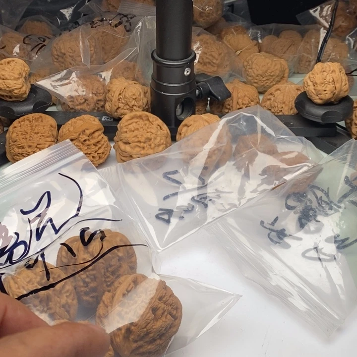 文玩核桃吊坠曙**.11111111111111