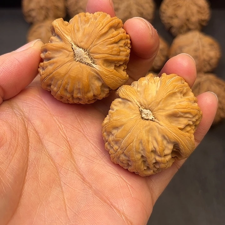 核桃秦岭突突突突突突突突
