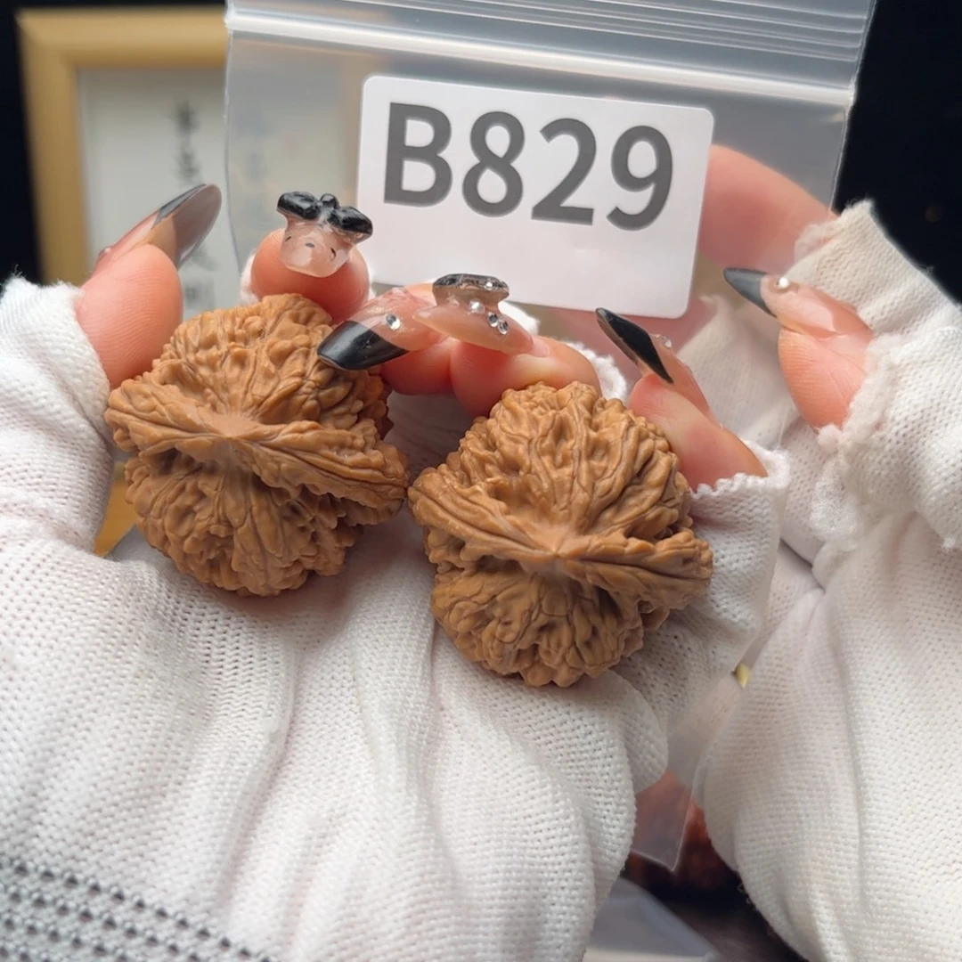 把件文玩核桃39蚂蚁王b829