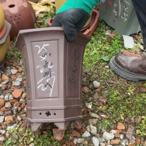 紫砂花盆紫砂花盆盆景盆栽