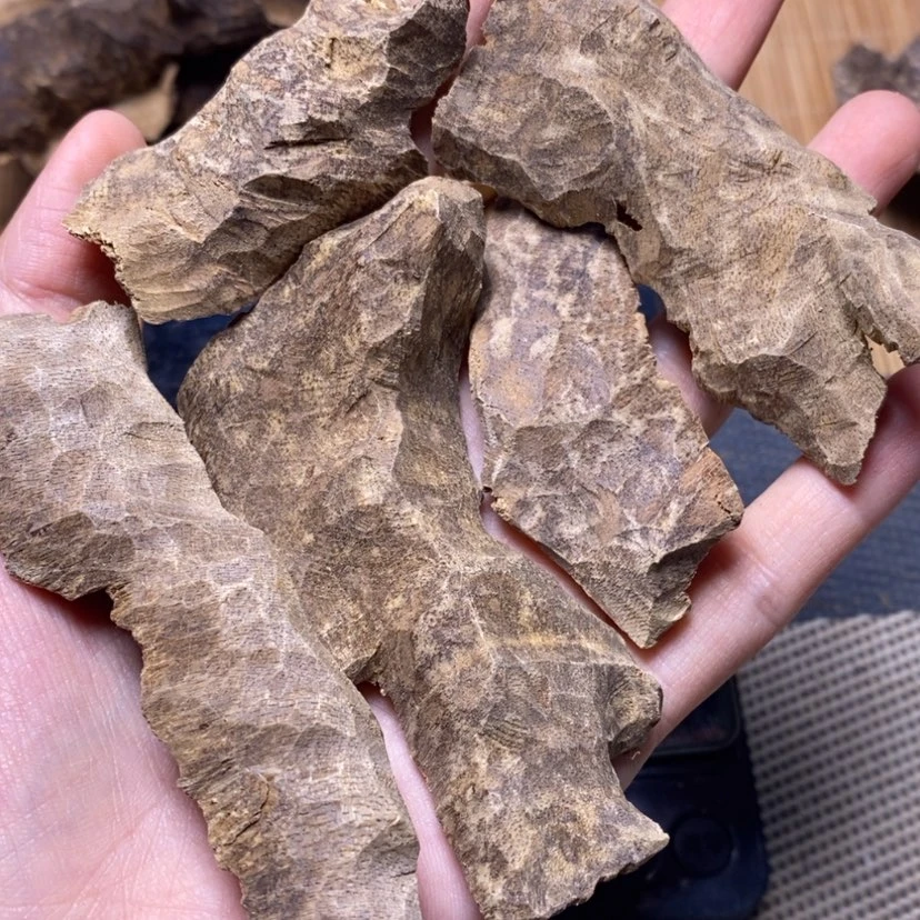 【闪购商品】香榧木芽庄10克鸡母虫