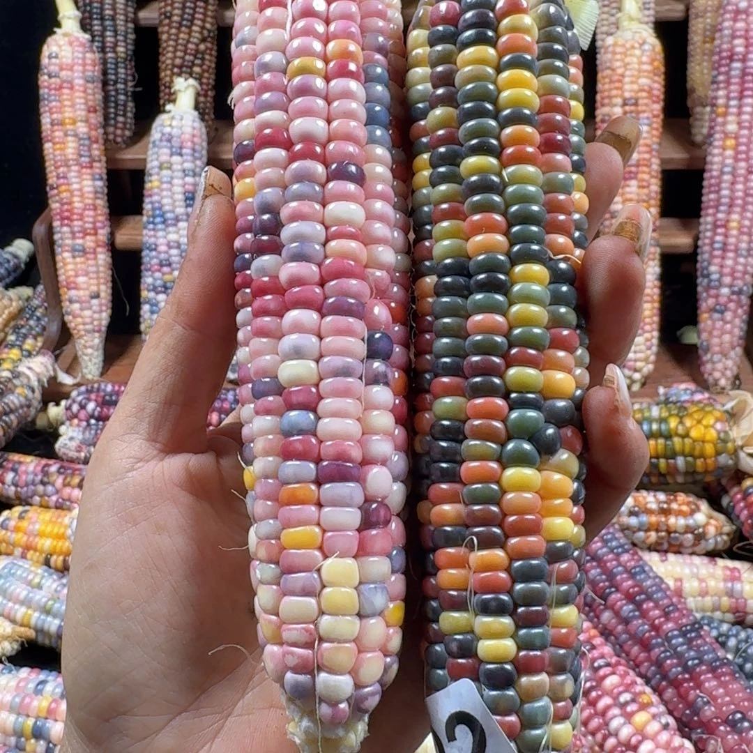 我是谁我在哪1234567890