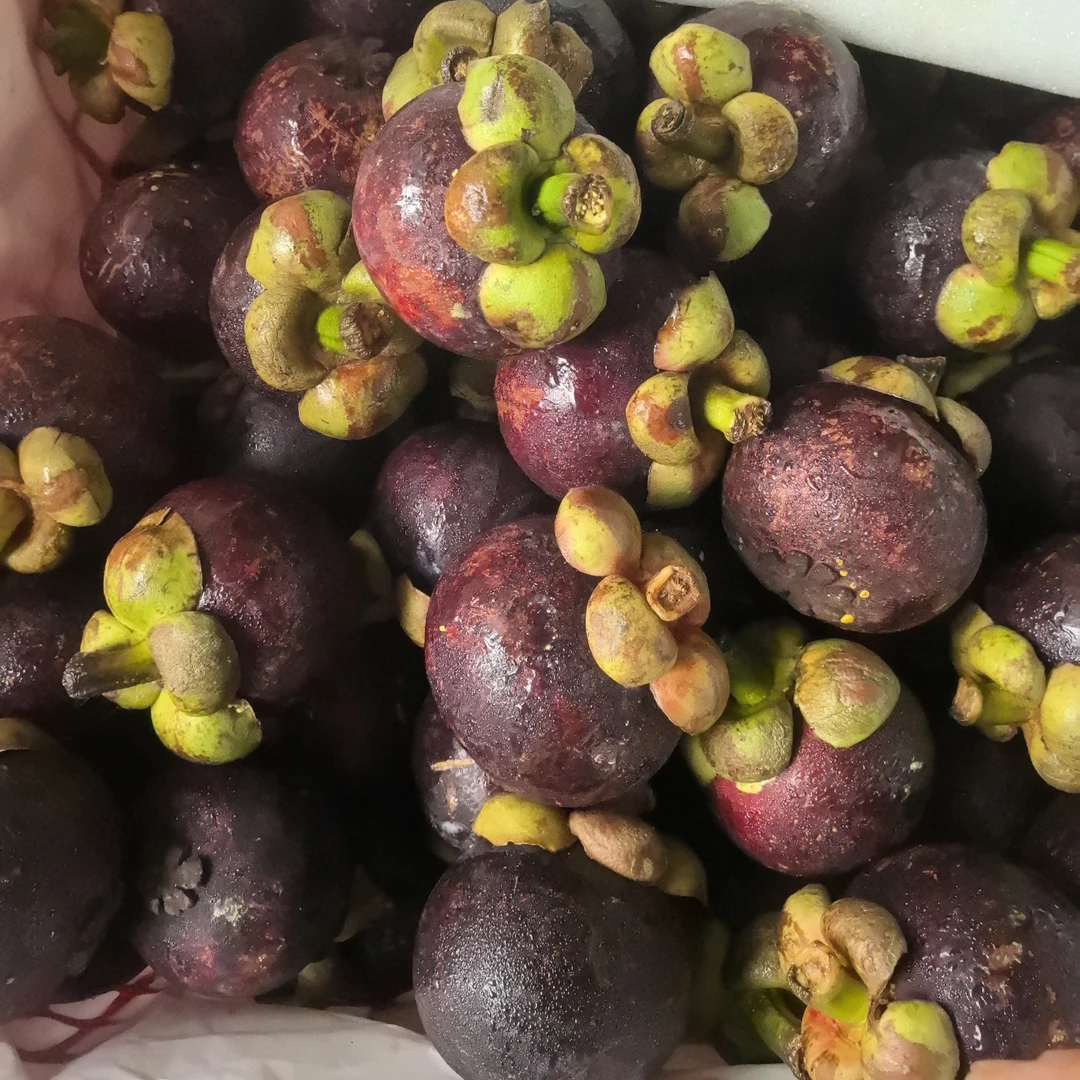 泰国山竹3A油竹麻竹1.5Kg