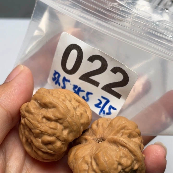 文玩核桃把件肌肉蛙33.5 35.5 27.5