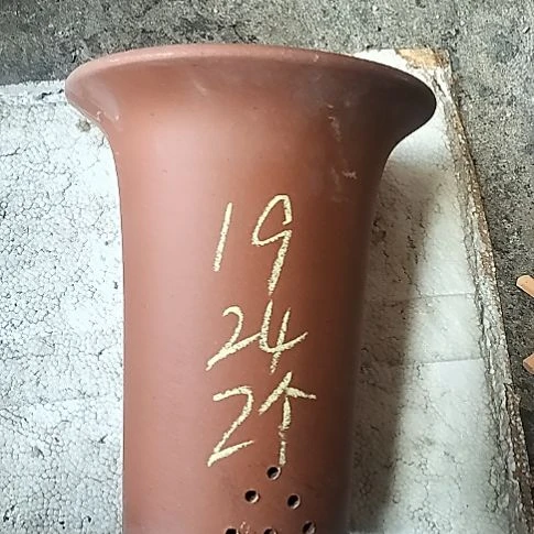 大红兰花两个花盆