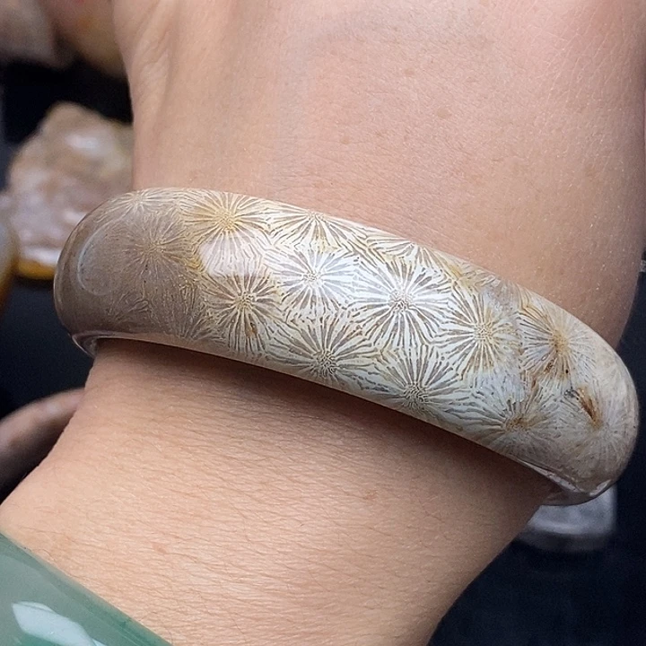 硅化玉未镶嵌颈饰60