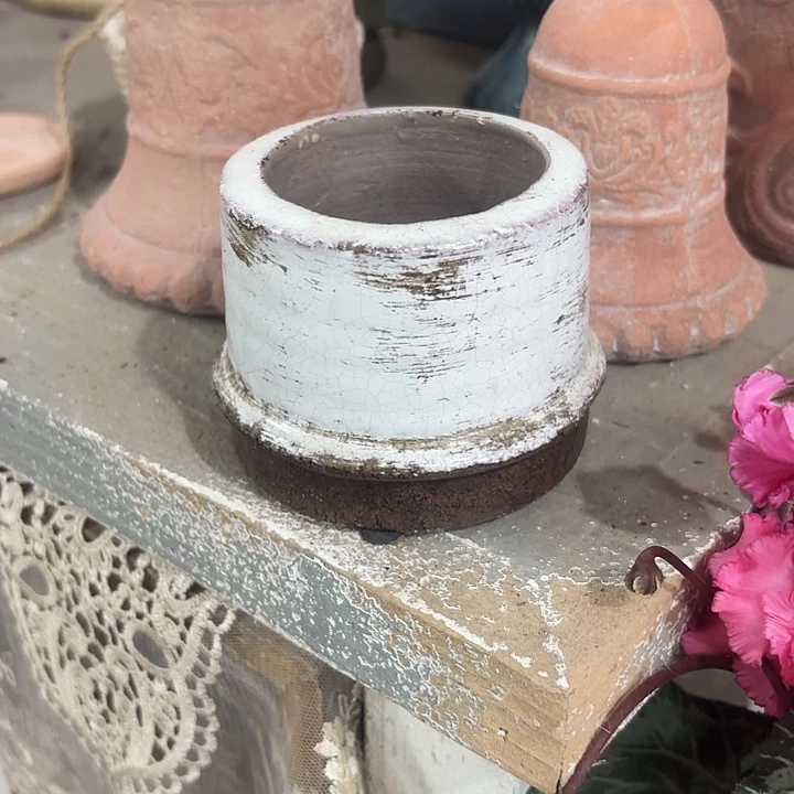 桉***朵许纯的花房小白盆