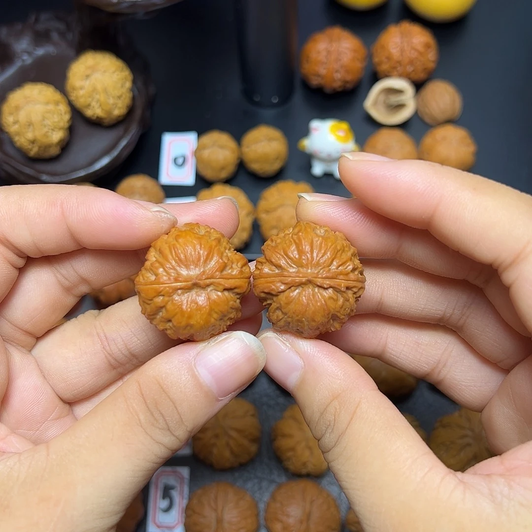 把件文玩核桃粗筋霸王花20尺