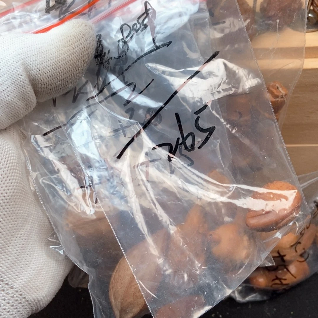 【闪购商品】吊坠橄榄核展*橄榄核展