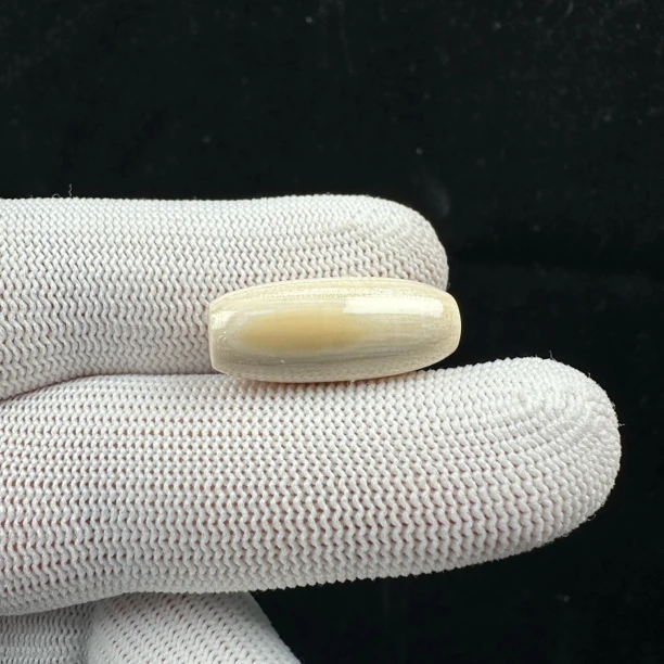 K6050天然猛犸牙 长桶珠10*24mm一物一图 假一罚十