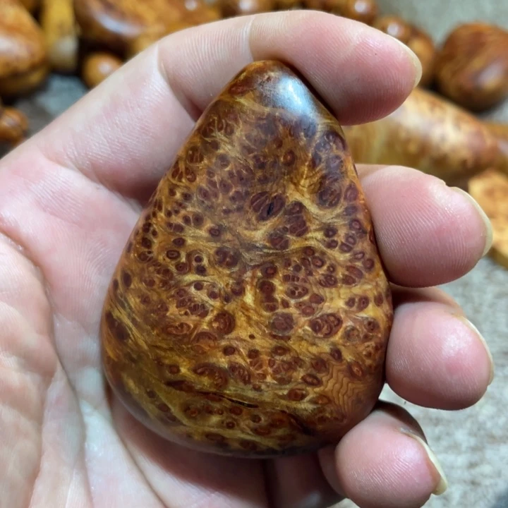 柏木（崖柏）其他把
