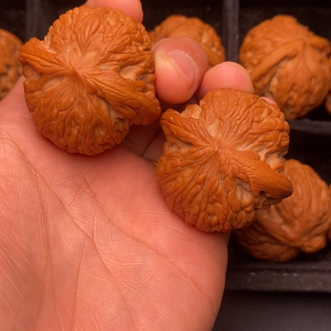 吊坠文玩核桃秦岭野生植物资源