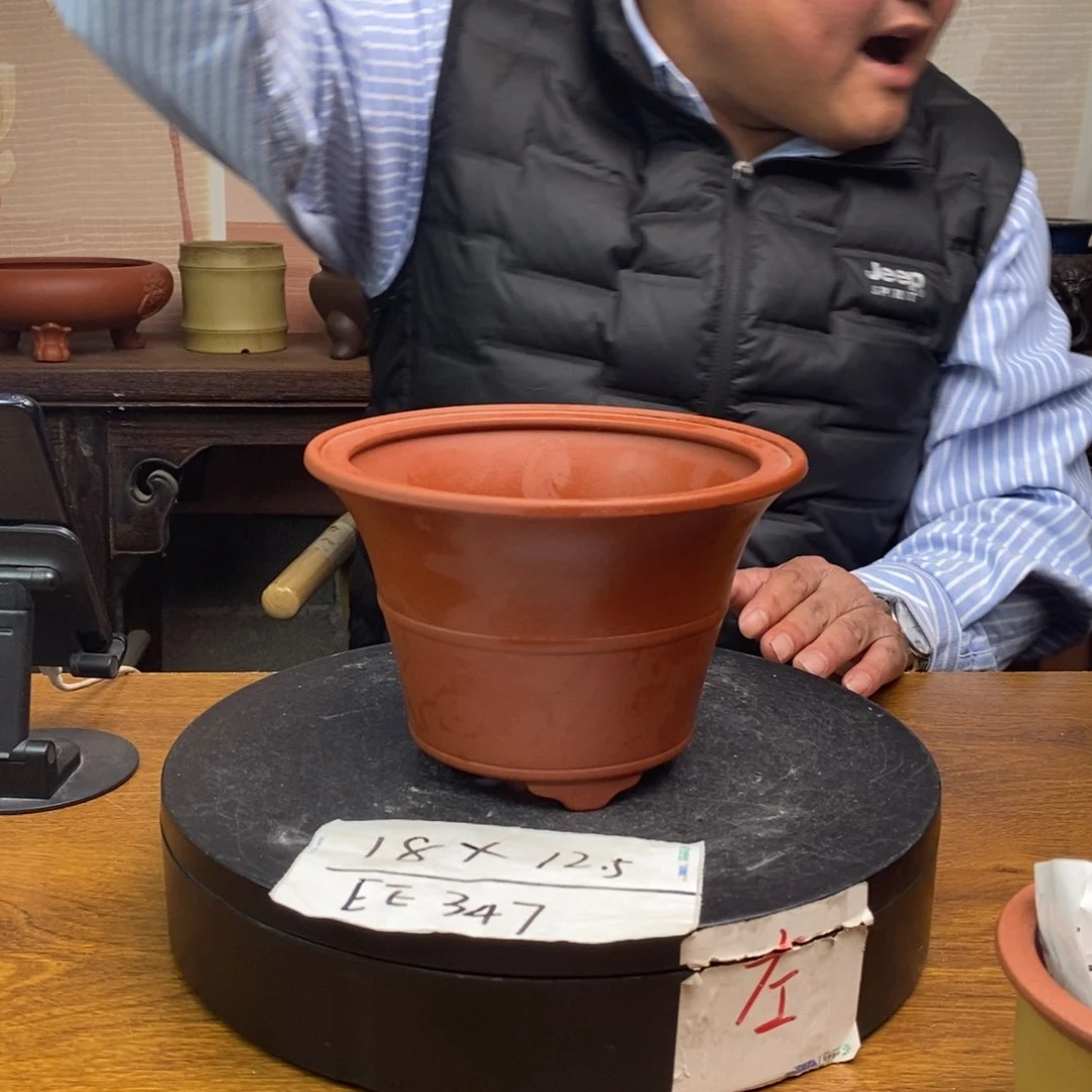 紫砂货号一只EE347