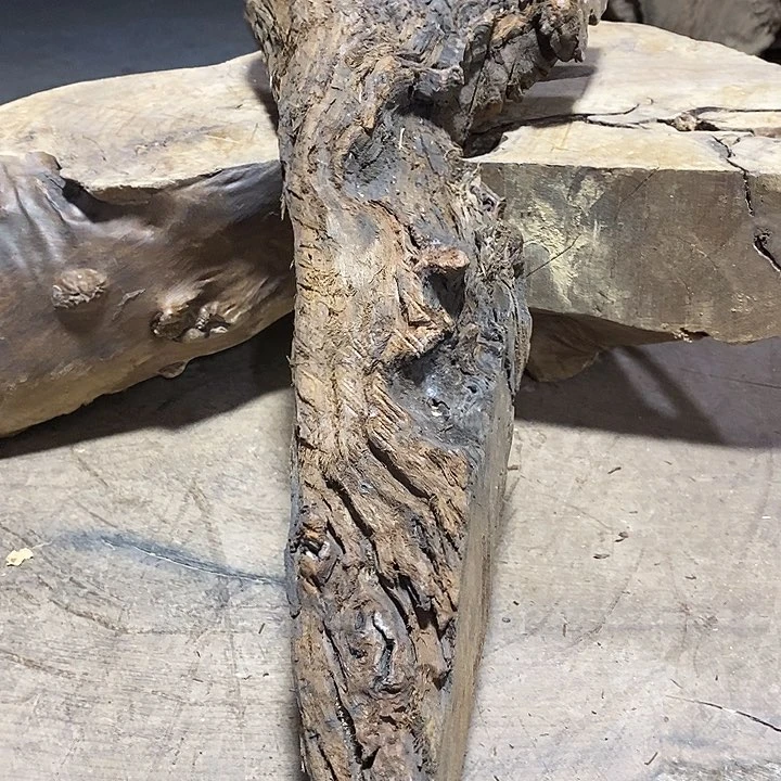 乌木类金丝楠木小叶