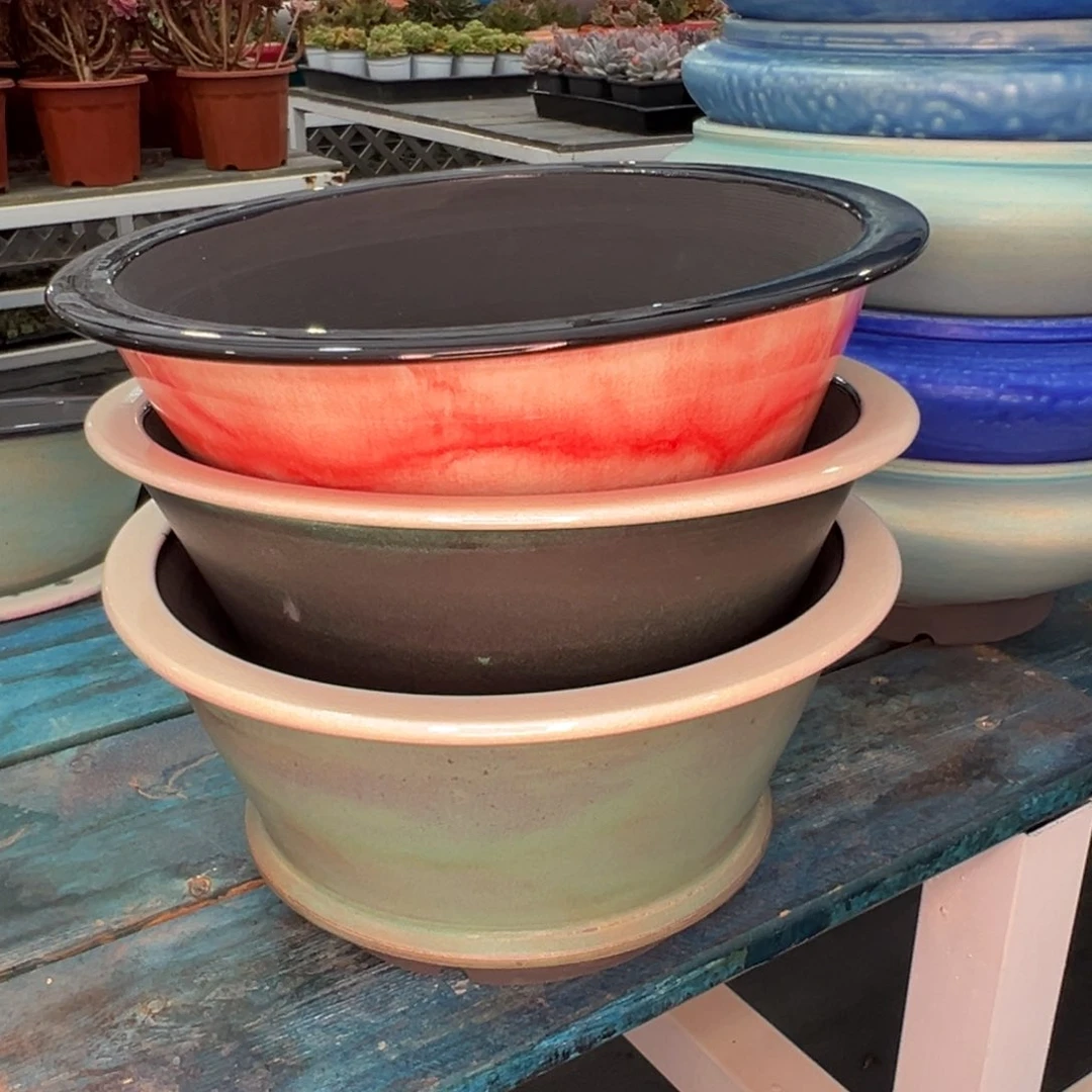 食*署从前慢多肉精选编号0710.68