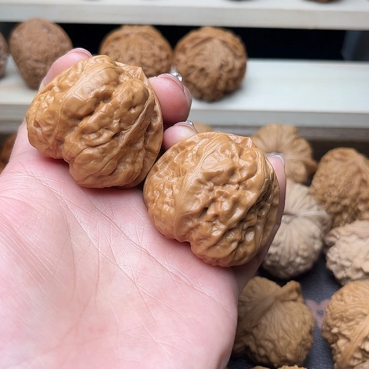 核桃41蛤蟆头精品对1212