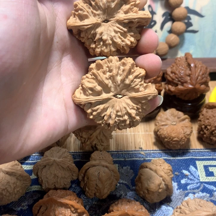 ****)哈哈哈哈哈哈哈哈哈哈