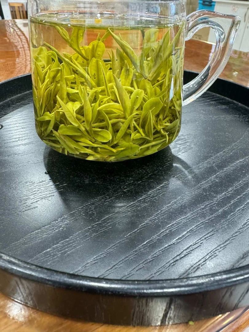 【开园头采小嫩芽A98】2025开园头采五锋山白茶新茶兰花香