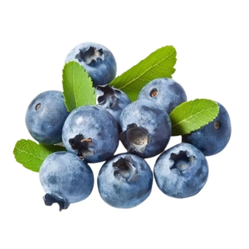 L25西昌花香蓝莓22+果王250g