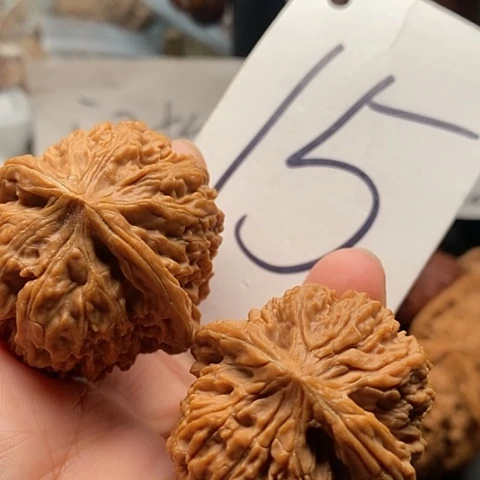 吊坠桃核42全品137头货
