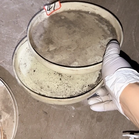 瓷片国营厂库存微瑕17厘米47