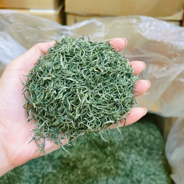 今日福利款 信阳毛尖明前 精品中芽 清香鲜爽回甘花香型绿茶