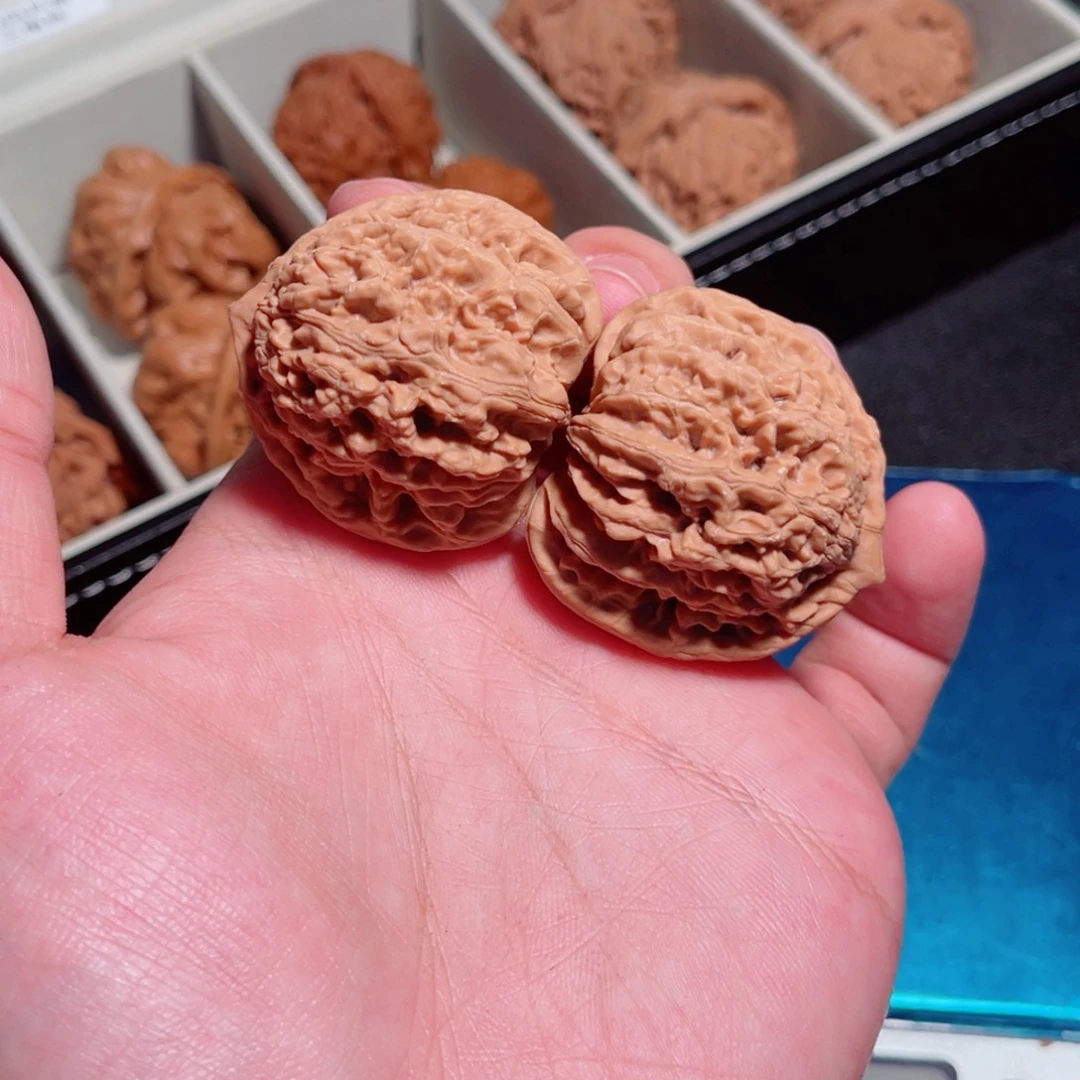 39全品盘龙虎头111