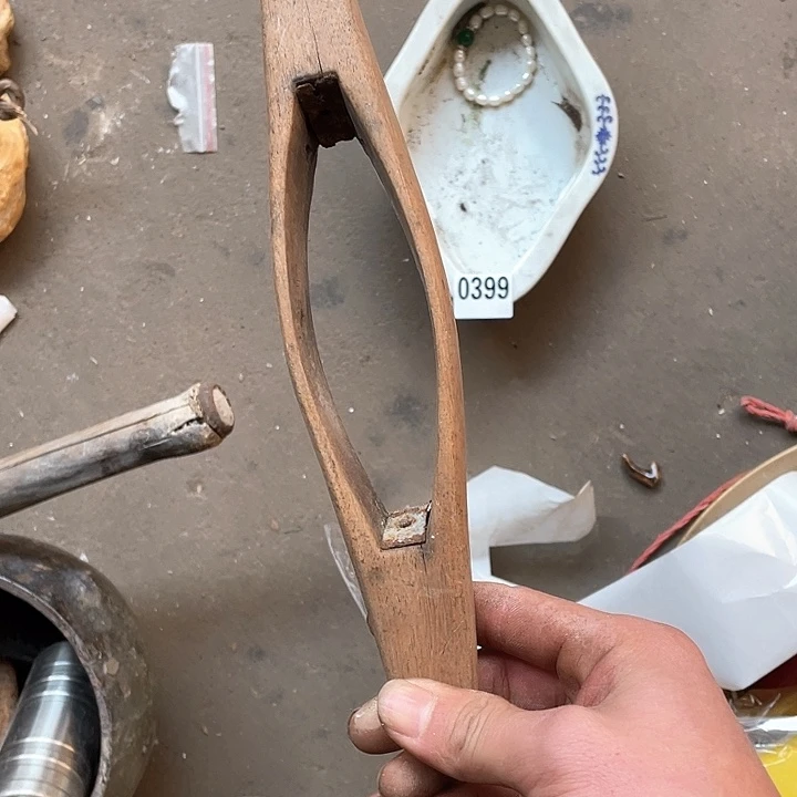 香榧木明*逸木头的小脑袋399