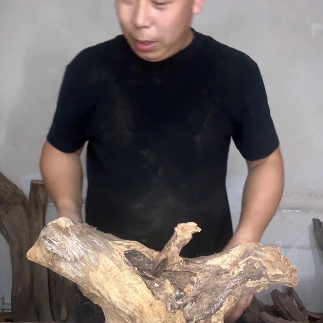 火****木太行崖柏摆件摆件