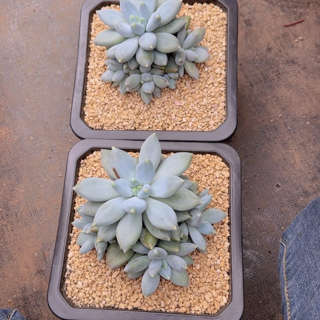 回***忆回忆姐11111111111