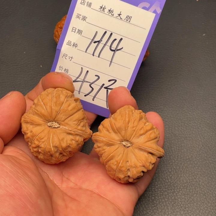 核桃南瓜43尺寸全品