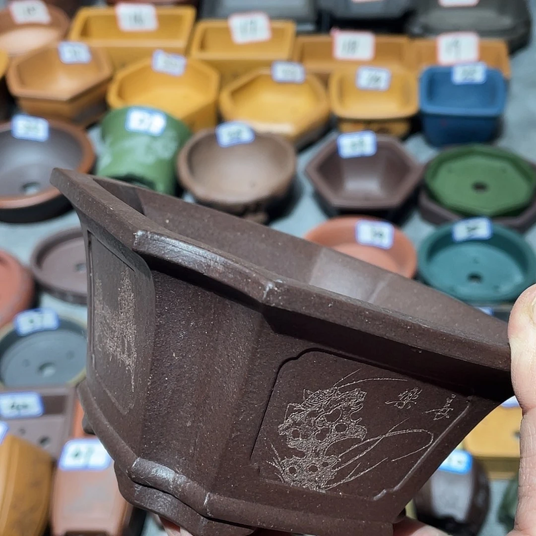 紫砂小盆11*6cmmmm