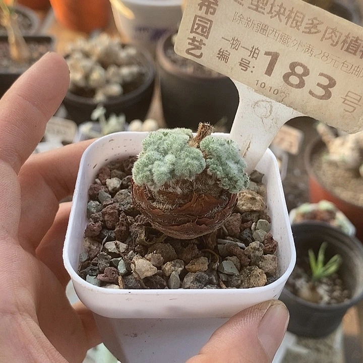 183一一一一一一一