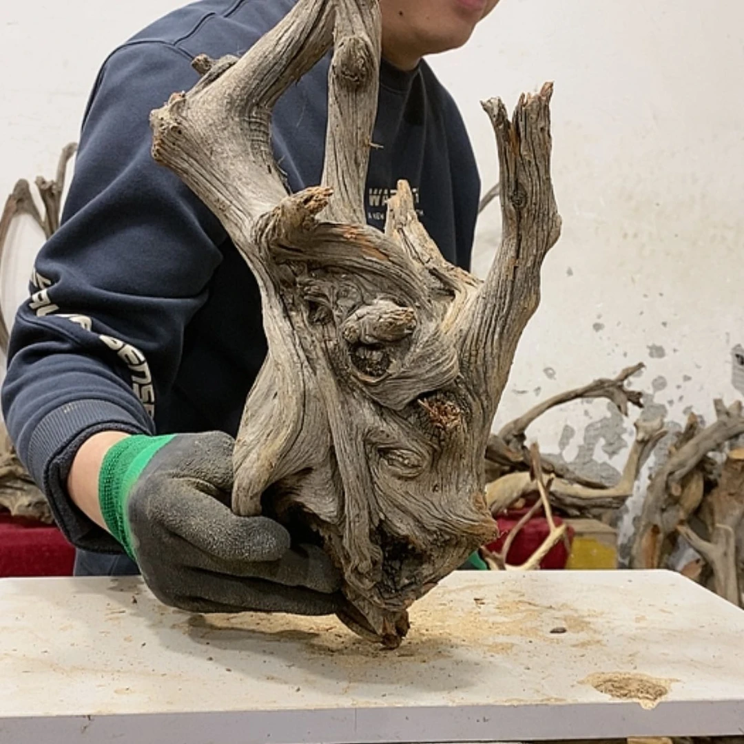 【闪购商品】柏木展****）我们都是好孩子