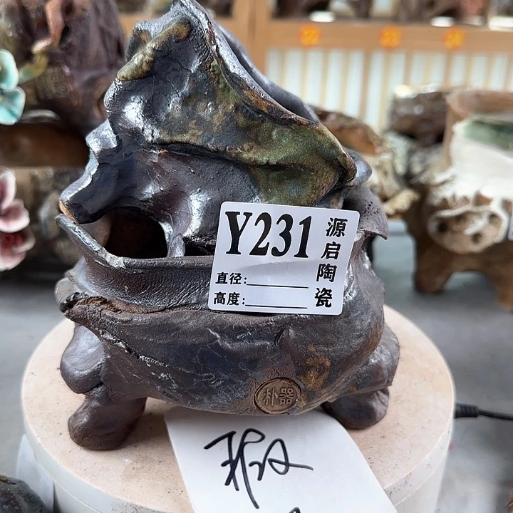 紫砂花盆景德镇陶瓷多肉231