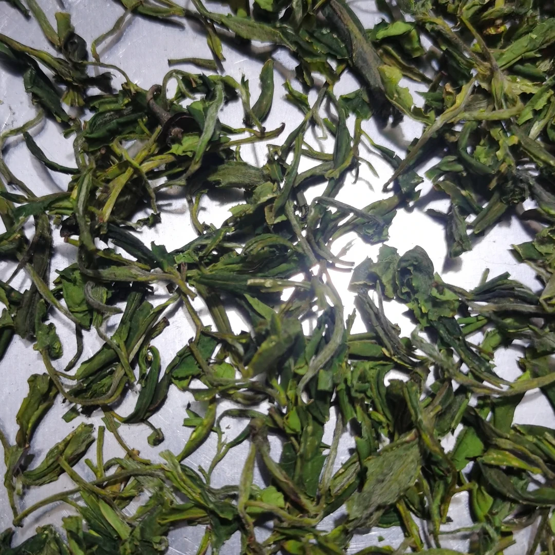 舒城兰花茶野生原古树绿茶散茶树种，品味自然茶香