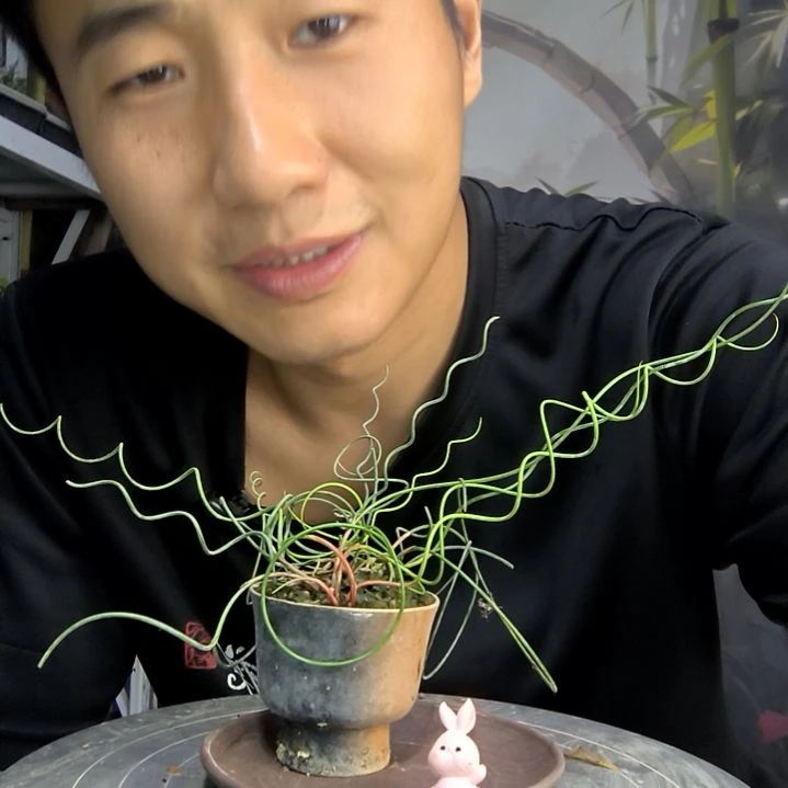 李***君中青园艺一物一拍120