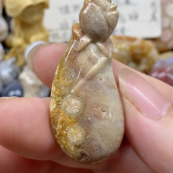 颈饰未镶嵌硅化珊瑚（珊瑚玉）有瑕