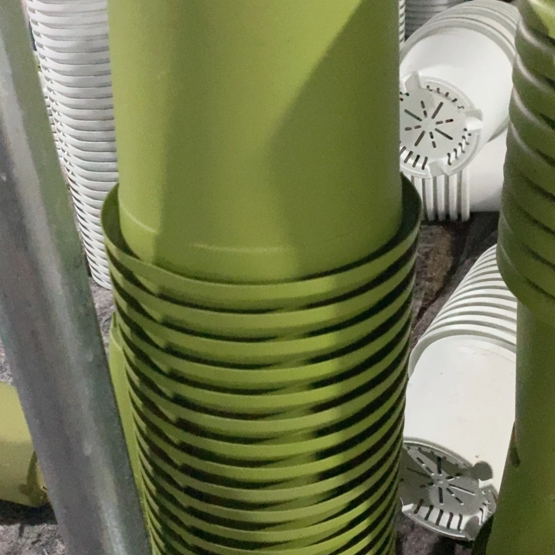 10个17口果绿微瑕无托伊特