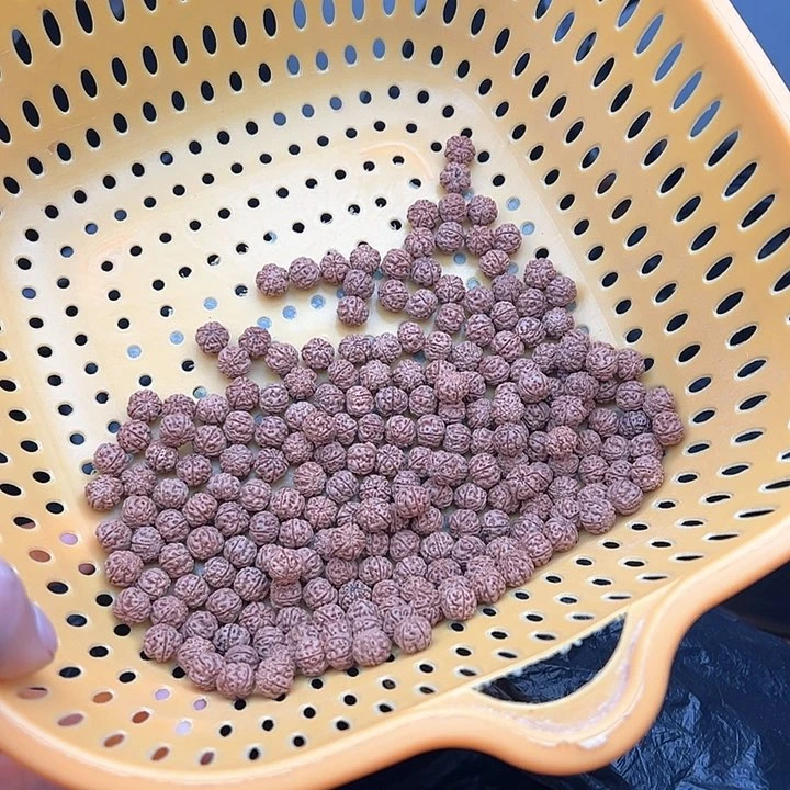 金刚菩提手串?**子好评