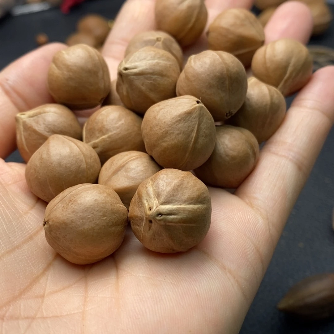 用***3手串/手链橄榄核1