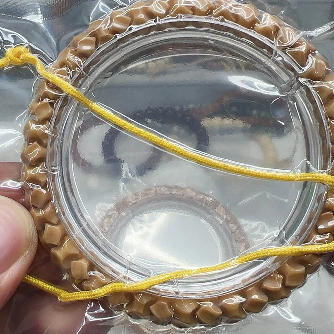 星月菩提手串192龙脊菩提龙骨0.8