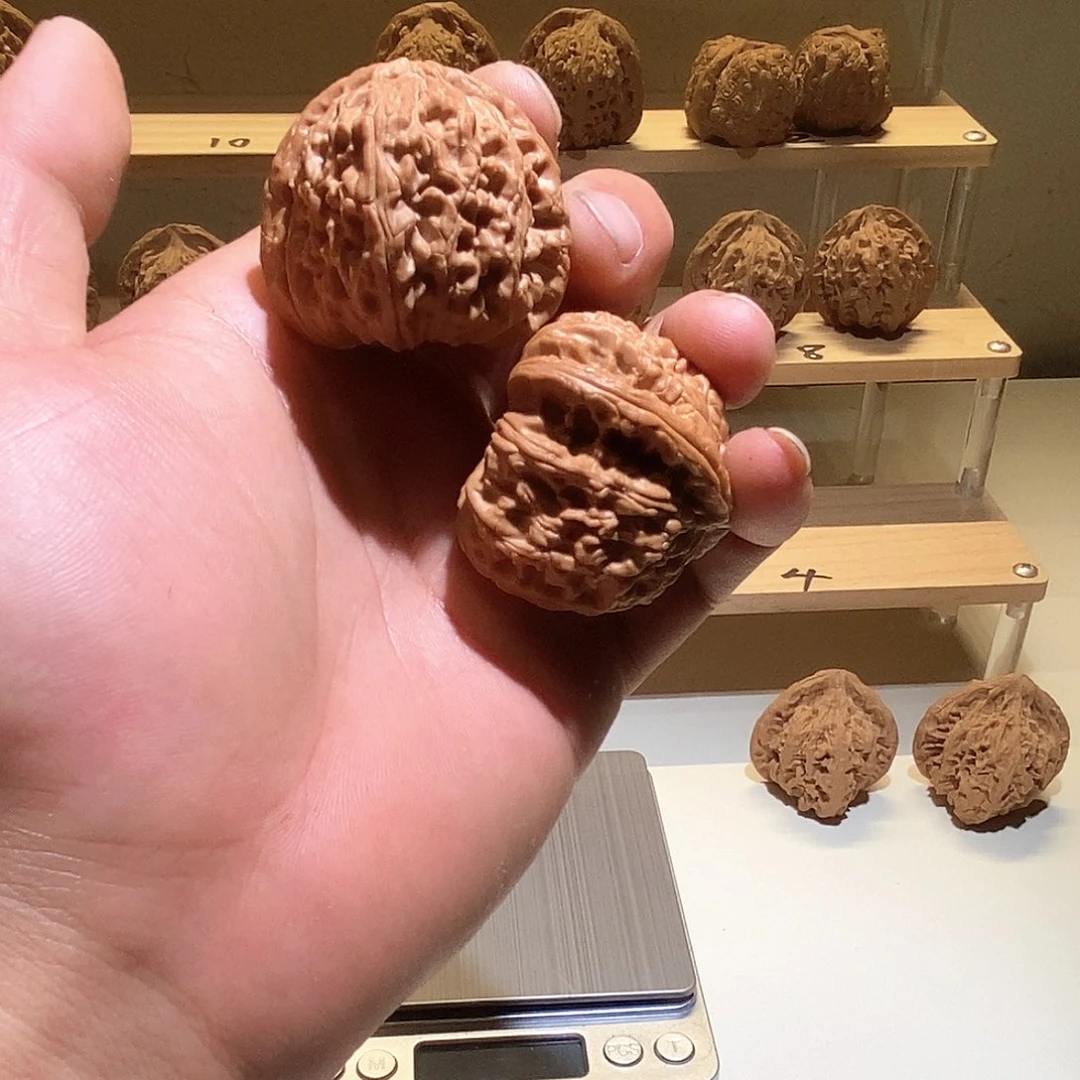 灿***丶文玩核桃把件8号。白狮子43