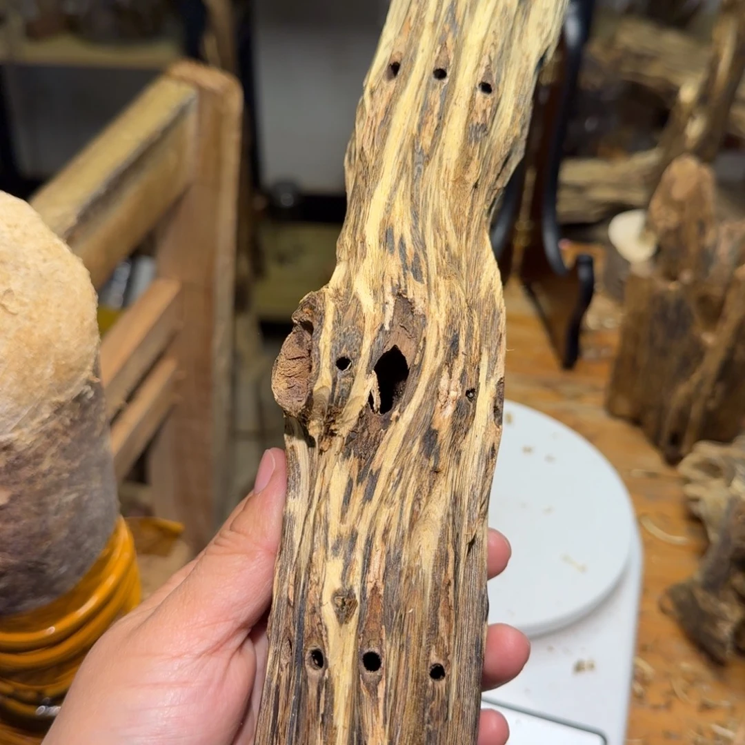 疯***鱼棋楠沉香白奇块料