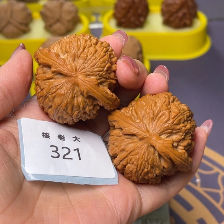 文玩核桃把件白狮子45.321